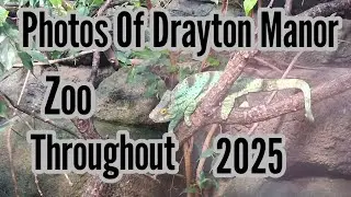 🦇 It's the LAST day of JANUARY 2026, So here's photos from Drayton Manor Zoo THROUGHOUT 2025! 🦇