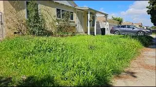Her Lawn Guy Never Came Back&hellip; So I Showed Up