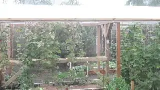 How To Protect Your Garden From Heavy Rain Storms
