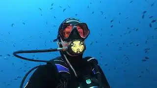 Immersione alla Secca dell'Isuela (Area Marina Protetta di Portofino)
