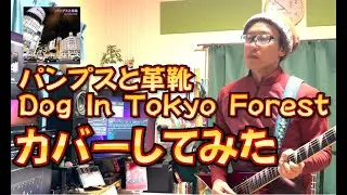 パンプスと革靴　Dog In Tokyo Forest カバーしてみた。