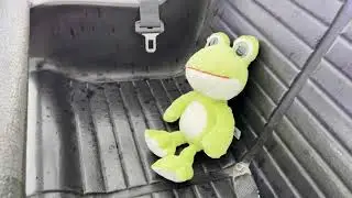RANOTA JÚNIOR se sube al SALTAMONTES