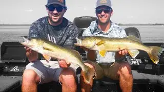 My best day of fishing EVER! (Last mountain lake)