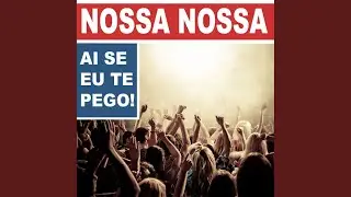 Nossa Nossa (Ai Se Eu Te Pego)