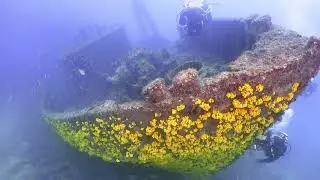 The Kwarcit Wreck, Sal, Cape Verde. Also known as the Boris.