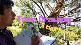 Tree Drawing Ideas in Your Nature Journal: The Nature Journal Show