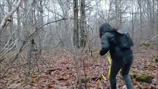 Mantrailing 23 12 2025