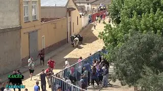 ENCIERRO URBANO -   FRESNO EL VIEJO (VA) - VIERNES 29/08/25
