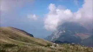 Herping at Lake Garda, Italy 2015
