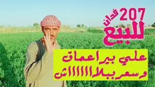 للبيع وبأرخص سعر في مصر 207 فدان