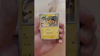 Pok&eacute;mon Stellarkrone Booster Opening 37! #pokemonbooster #stellarkrone #boosteropening