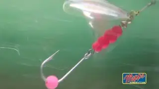 Mepps Aglia-e For Salmon, Trout and Steelhead