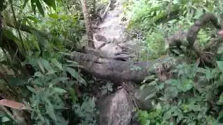 Heavy breathing intensifies - Nam Kang Ho Tao silent trekking via Than Uyen, Lai Chau