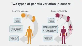 A Closer Look at&hellip;Cancer Prevention