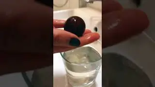 Wie man einen Avocadokern bepflanzt