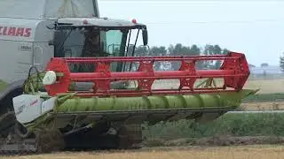 RICE HARVEST nuova lexion 750
