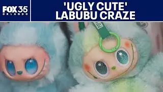 &lsquo;Ugly cute&rsquo; Labubu toys fuel latest collectible craze