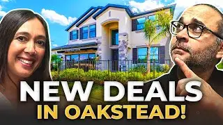 Land O' Lakes Florida Real Estate Gems: OAKSTEAD ESTATES Home Spotlight | Life In Tampa Florida