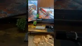 Setup tour! #setup #gamingsetup #pcsetup #dog #dreamsetup #setuptour #tour #pc #pcs #gaming #tech