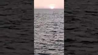 sun set,most beautiful sunset inthe world, Red sky, Nature, perfect green flash sun set,