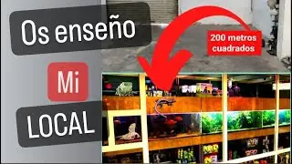 TOUR por el local que ten&iacute;amos PREPARADO|Lo que pudo haber sido UN CRIADERO de REPTILES!Tienda....