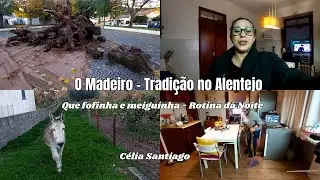 Tradição no Alto Alentejo - O Madeiro ( Fogueira ) | Rotina da Noite em Casa | Que fofinha ...