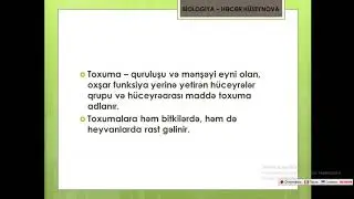 Bitki toxumaları 6cı sinif şagirdləri üçün