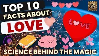 Top 10 Fascinating Facts About Love ❤️ | What You Didn&rsquo;t Know About the Most Powerful Emotion 🕊️