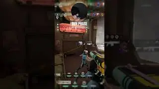 Dolphin laugh montage!
