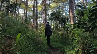 trail shit 1/25/26