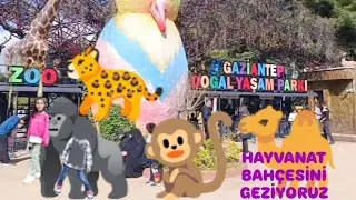 Timurkardesler hayvanat bahçesini geziyoruz ‼️ EYVAH hayvanlar kaçti mi yoksa ?‼️‼️
