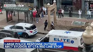 Large Chicago police response seen at State and Lake CTA Red Line station in the Loop