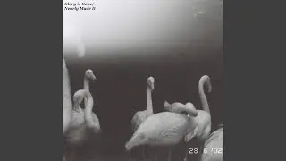 Nearly Made It