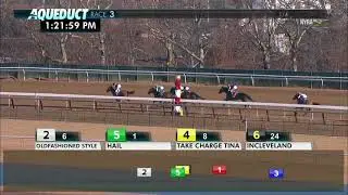 Midnight Disguise - 2018 - The Busanda Stakes