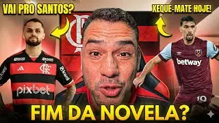 🛑ATEN&Ccedil;&Atilde;O!🛑 FLAMENGO ANUNCIA REFOR&Ccedil;O NO BID! REUNI&Atilde;O FINAL POR PAQUET&Aacute;! + SA&Iacute;DA DE ATACANTE?