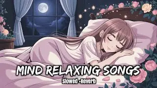 🌙😴 Sleep & Relax | Calm Songs Mashup