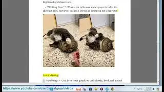 My cat com 101: visionlink cat?