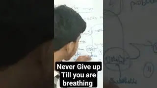 #dreams #carriertips #nevergiveup #passion