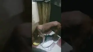 Life of an Elderly couple feeding 50+ dogs. To donate please contact 9686357335