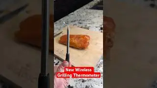New Wireless Grilling Thermometer