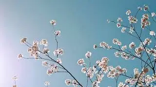 Cinder Flo | Clouds over Tokyo