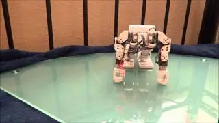 Push-Ups