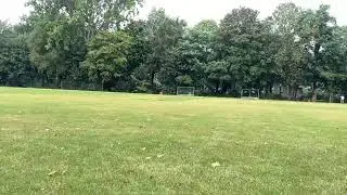 DCB T20 Bundesliga-Mens Qualifiers 25/26 - THCC Reds Vs VFB Fallersleben