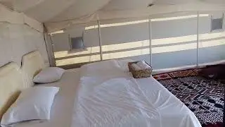 #camel