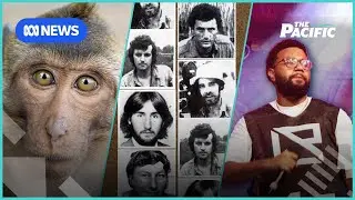France&rsquo;s political chaos hits New Caledonia and 50 years after Balibo 5 | The Pacific | ABC NEWS