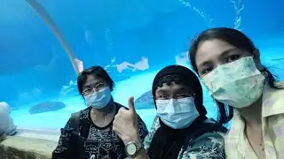 Jalan|| Lagi Lihat Pin Guin Nurut printah  Lucu ful tkw Siam vlog