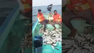 Fishermen TVK flag Thalapathy Vijay