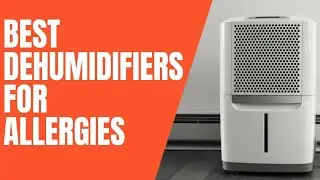 5 Best Dehumidifiers for Allergies, COPD, and Asthma (2021 Reviews)