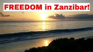 Freedom In Zanzibar!