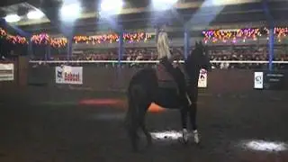 Gipsy Horses Kerstshow 2011